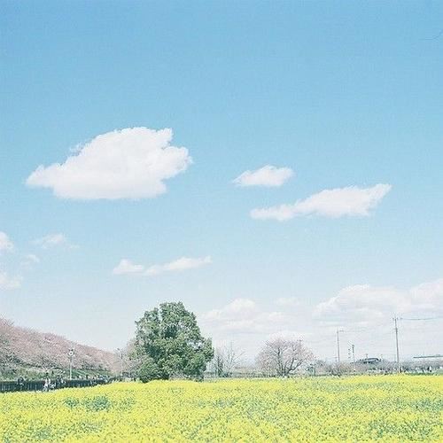 幽默笑话《懒人办法》