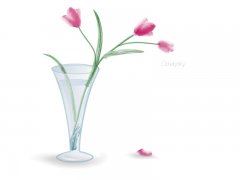 缺陷也是一种美