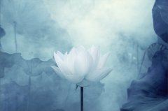 你是什么时候想脱单的?