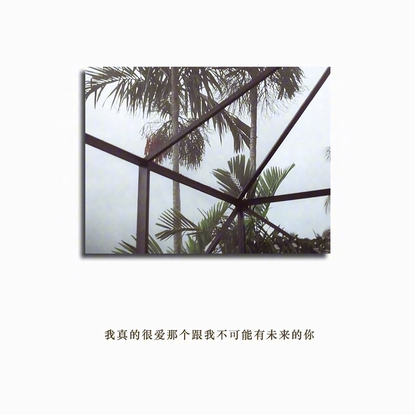 梦幻之旅