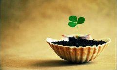 高中那些事~好心做坏事