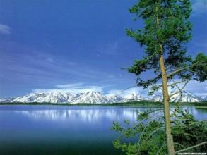 团结是成功者的通行证