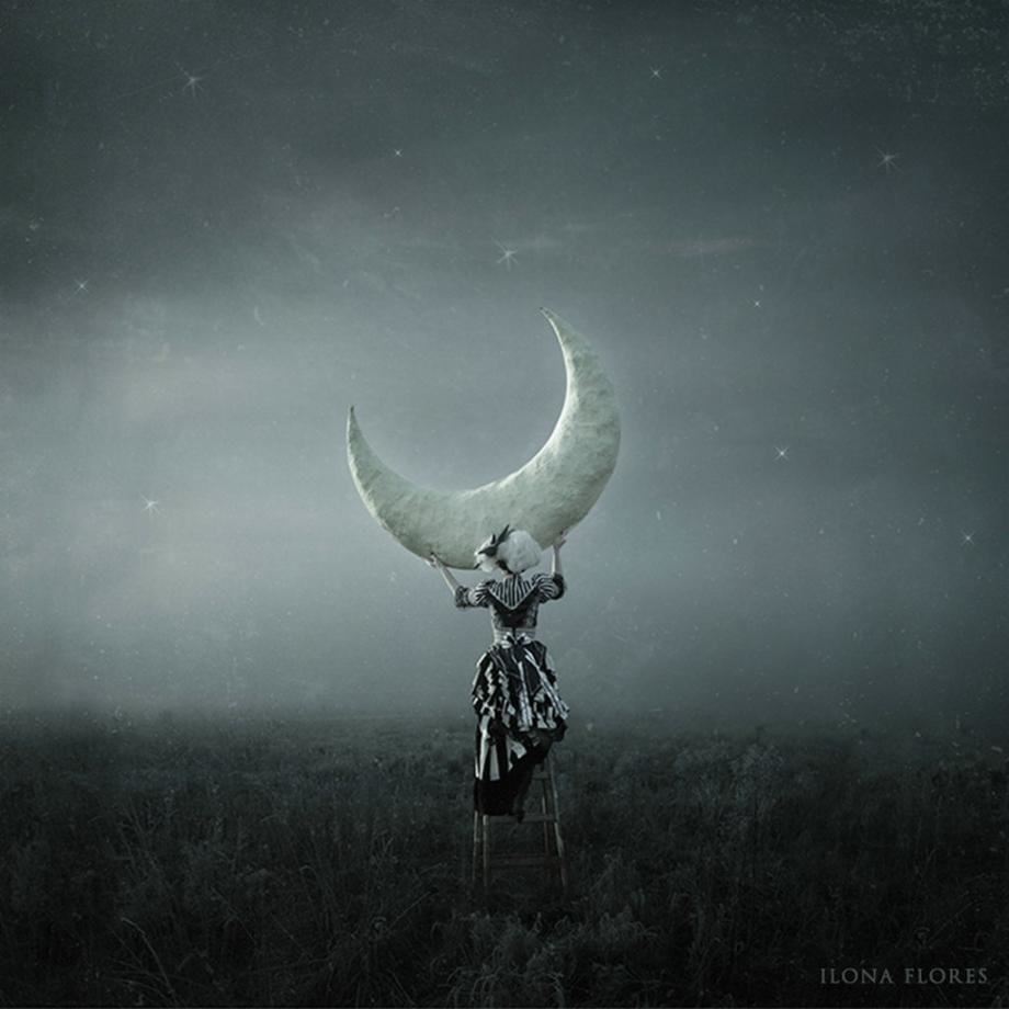 小白兔的奇幻之旅