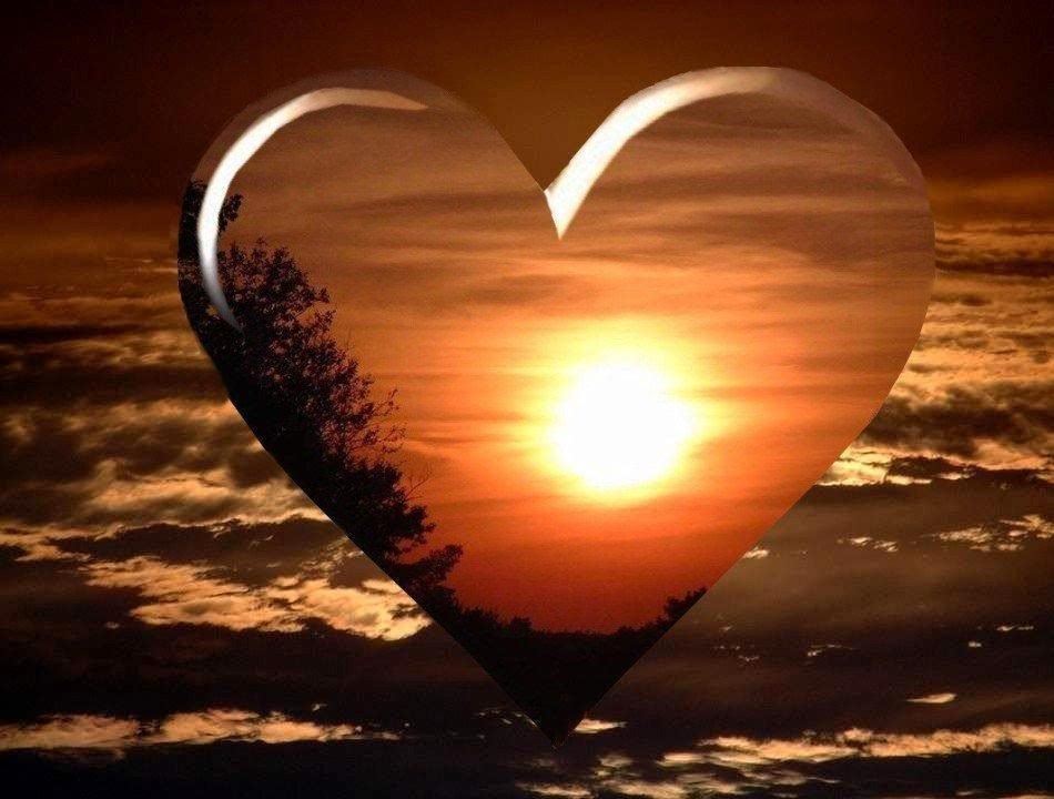 爷爷，我永远怀念您