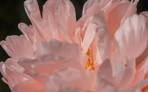 不用多久，一辈子就好