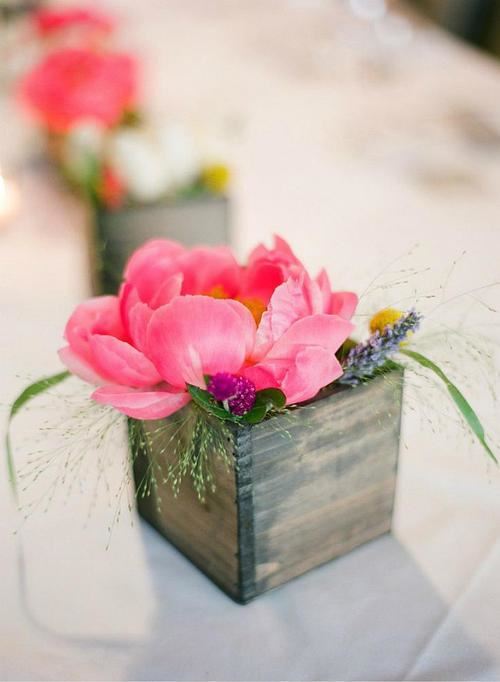 一句迟来的道歉