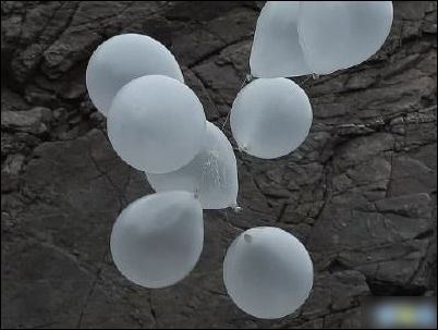 龙舟赛——重温端午传统文化