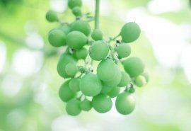 我的奇幻童年：追寻惊奇的冒险旅程