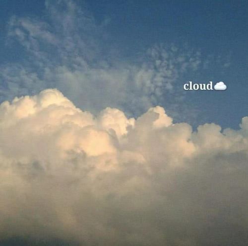 追寻理想路上的坚定