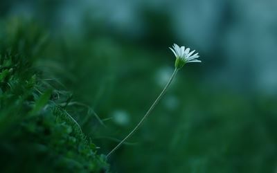 以赴向冬天的约会季节