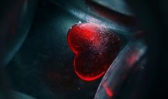 迎难而上的勇气