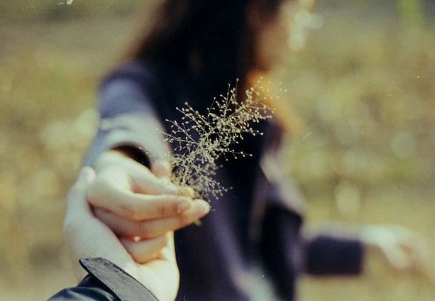 坚持不懈,方得成功