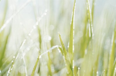 善待自己，健康无价