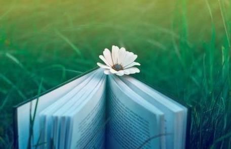 那个有味道的节日