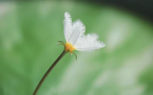 相信自己,成就自我