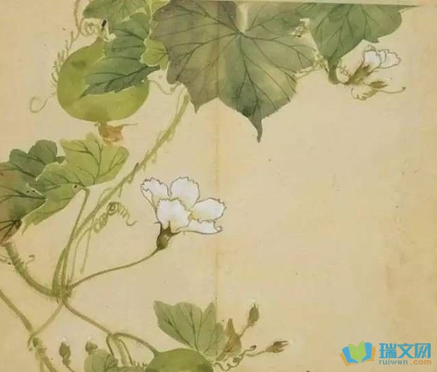 一个少年与月亮的奇幻之旅