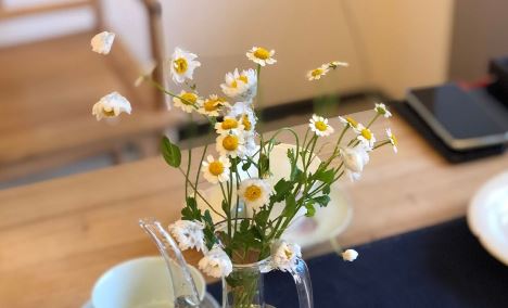 一个人的漫长旅途，如何在记忆中找到温暖