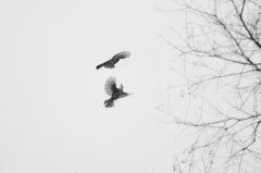 一个文化遗产传承人的故事