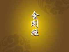 你在等全世界的樱花，而我在樱花树下等你