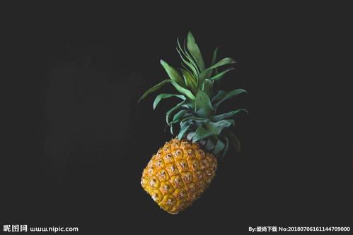 又是一年杏花飘香时