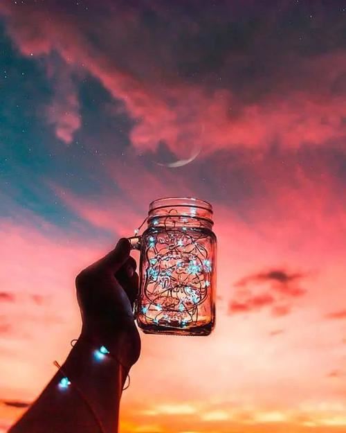 我需要热水。不需要玫瑰。