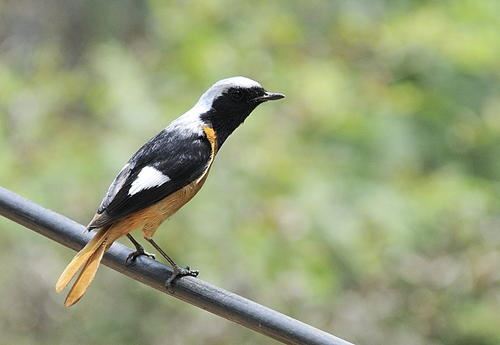 不离不弃，相伴相依