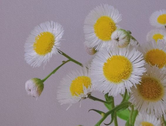 坚持我成长中的一座桥