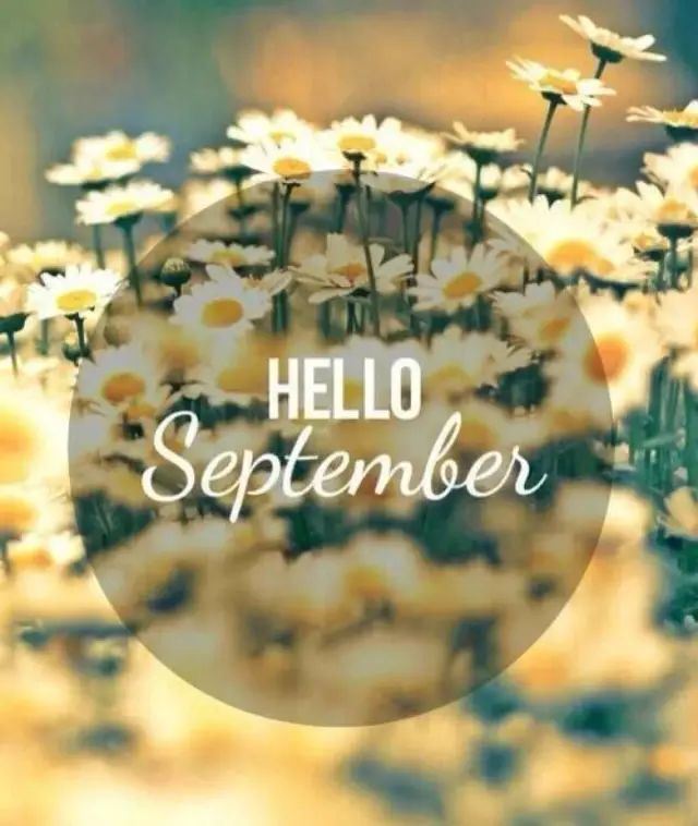 花开花落 吴鹏飞