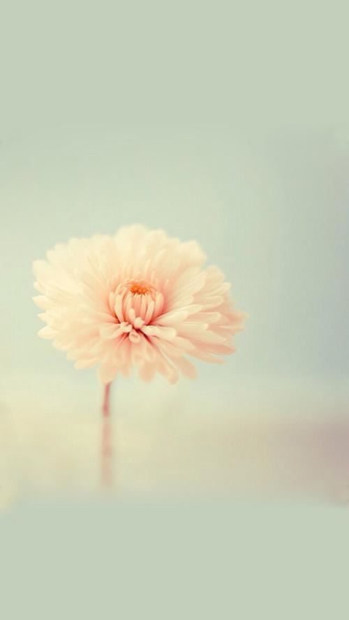 我是你的宝宝，你是我的豆豆