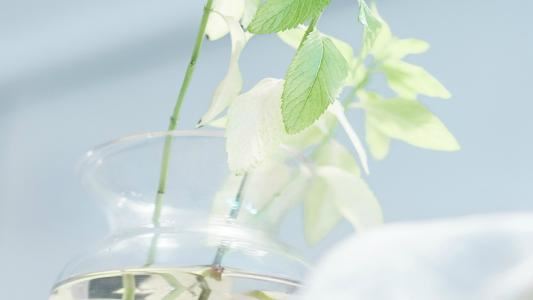 爱，是最温暖的力量