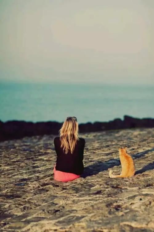 智慧的花朵:一朵花的奇遇