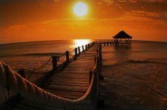 烤梨,留在心底的一个结