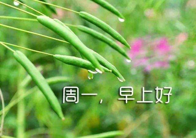 校园情事:那些年我们一起追过的梦