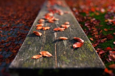 我在江苏滨中读高中的那段时间（高一下学期-高三）