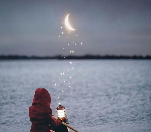 以感恩的心态处世