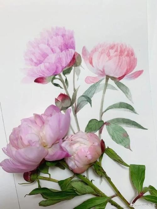 从母亲的眼中看世界