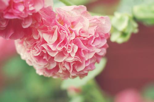 一个普通人的生活经历