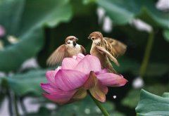 以高贵品格为主题的小故事