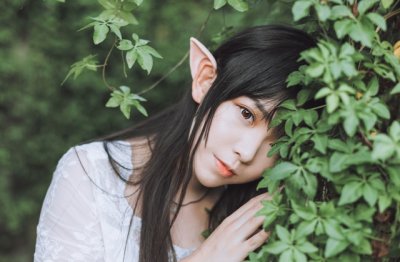 得不到的东西永远总是最好的