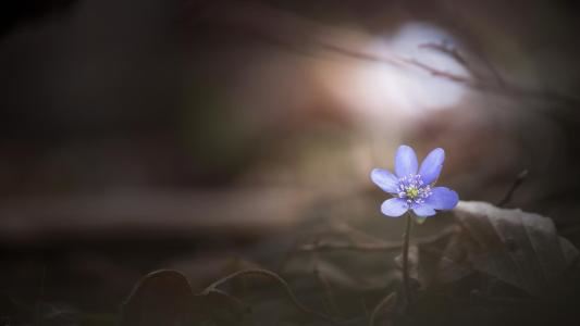 命中注定,亦或是情深所致?