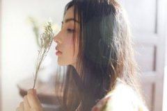 红叶遐思