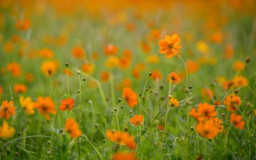 影响世界的100条管理励志名言