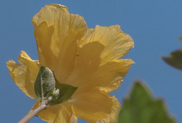 亲吻中年的味道,暖笑无殇!