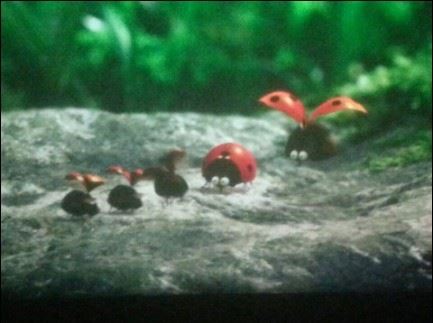 允许别人与你不同