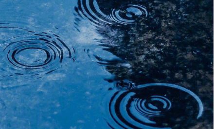 七美元实现的梦想