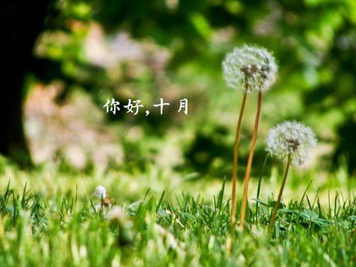 春光无限，美景旖旎