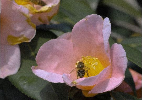 关于离别的格言句子