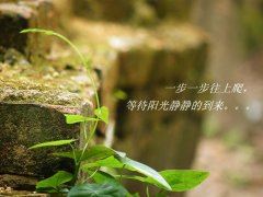 爱已错过，遗憾终生