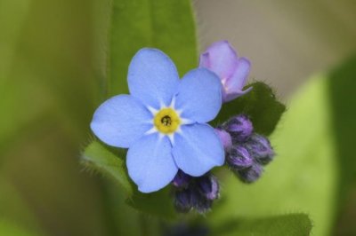 女人何止风情万种