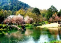 安全伴我成长